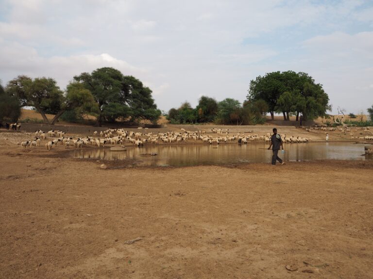 Climate adaptation, vulnerability and rights-based litigation: broadening the scope of climate litigation using political ecology and insights from India