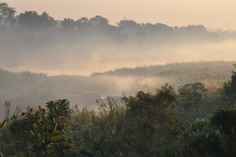 Law at the intersection of human rights and the environment – watch the GNHRE/ELGA webinar