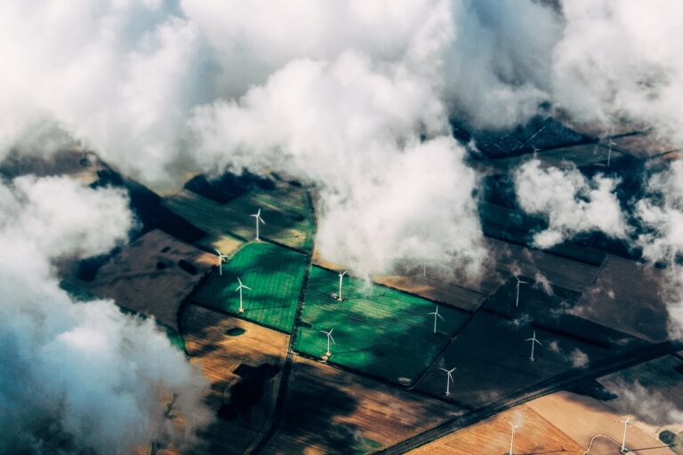 WEBINAR: Law at the Intersection of Human Rights and the Environment