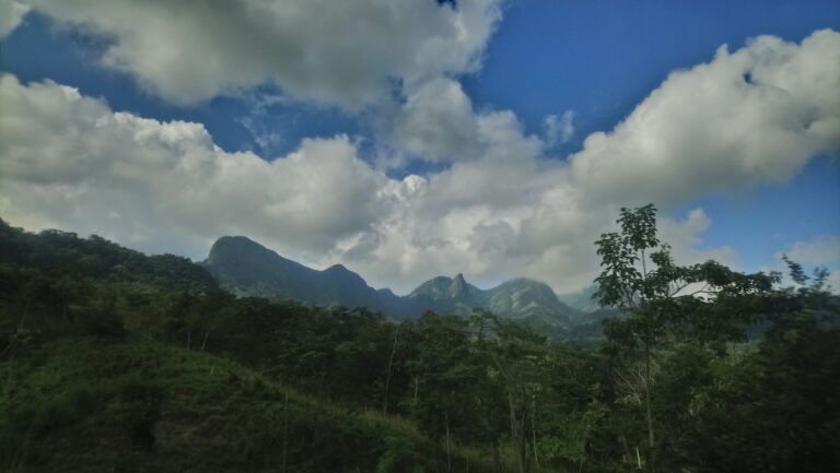 GLOBAL FORUM: RIGHTS OF NATURE AND THE RIGHT TO A HEALTHY ENVIRONMENT IN DIALOGUE.