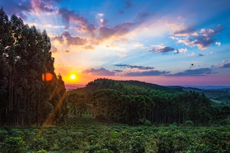 Exploring “Enlightened Ecosystem Zones:” A new collaborative research activity for university students
