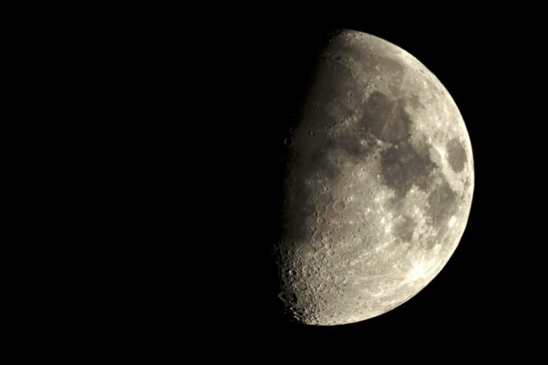 Mapping the whole of the moon: The rich landscape of rights-based litigation in the climate emergency