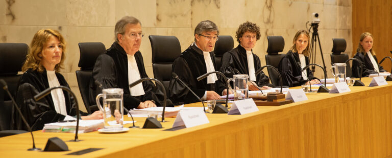 Legal standards for judging States’ mitigation efforts