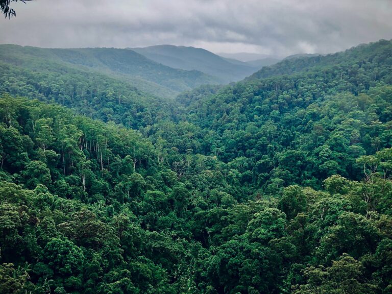Symposium on the United Nations General Assembly’s Consideration of the Right to a Healthy Environment: call for blog posts