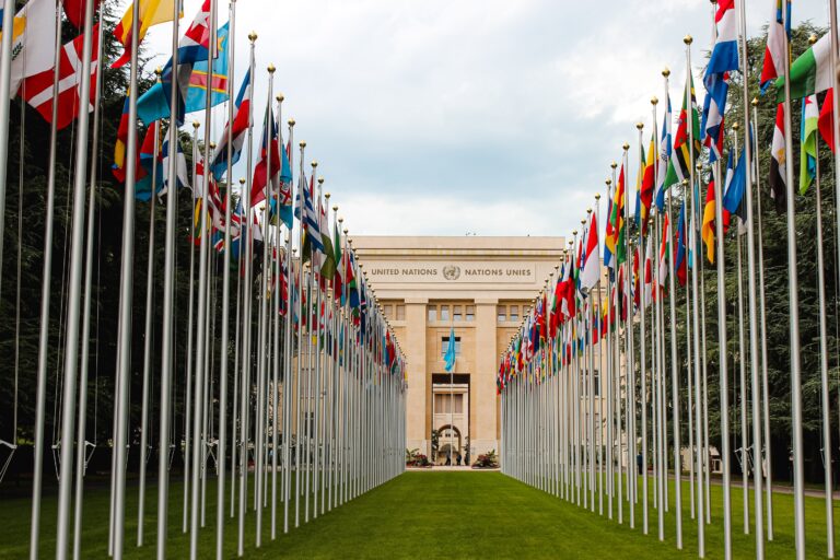 Evolutions of the Right to a Healthy Environment Part 2: Political Dimensions of International Environmental Governance