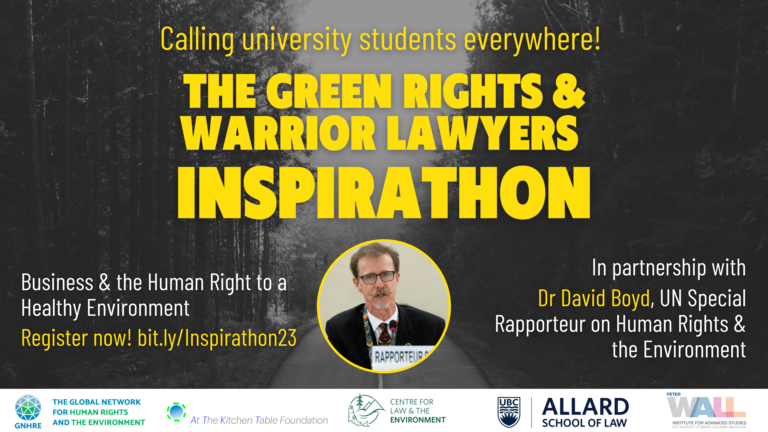 Calling All University Students: Contribute to a UN report on business and the human right to a healthy environment