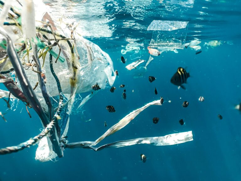 Environmental Justice and the Law – A Student Blog Symposium